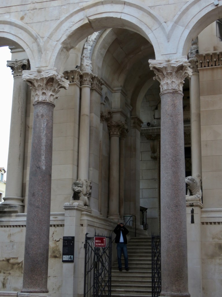 split_domnius_front_view