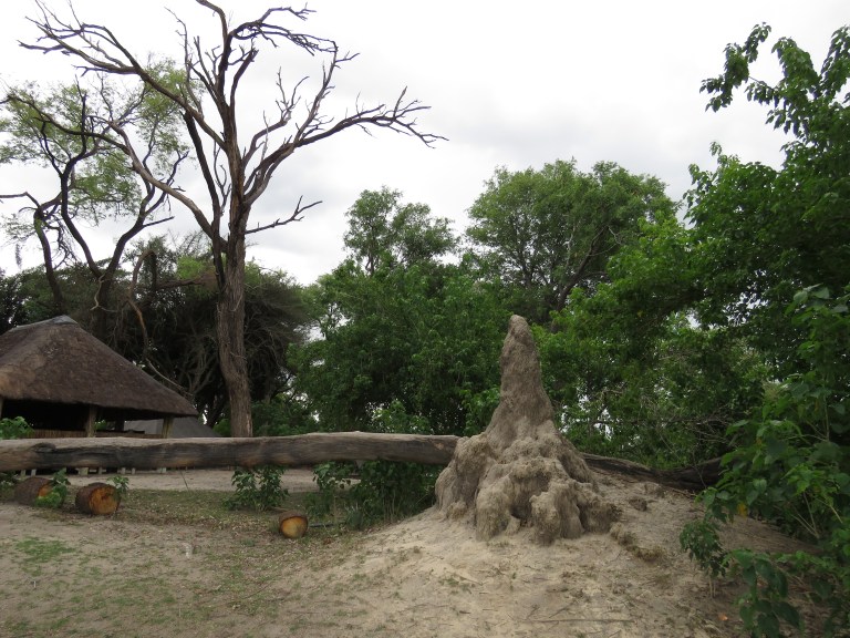 termite_mound_kwara