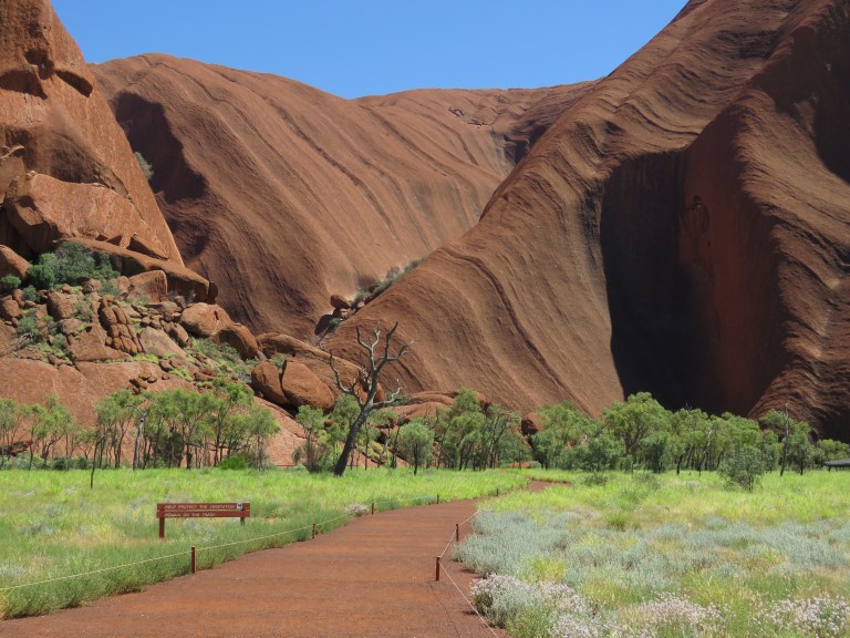 uluru_car_back_side