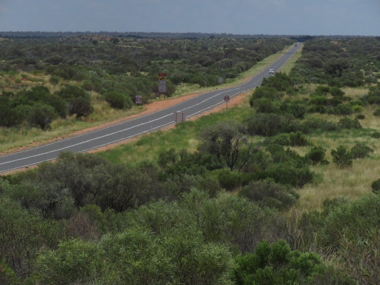 uluru_lasseter_highway_road