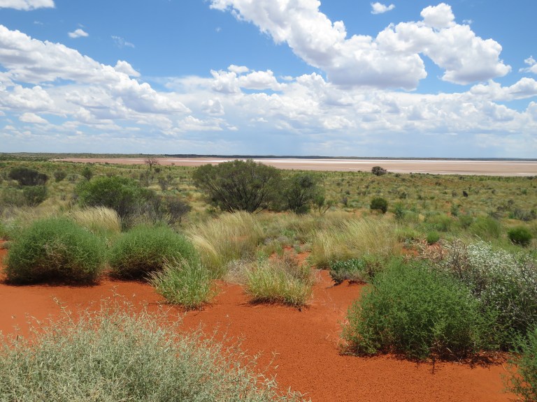 uluru_mt_connor_inland_water