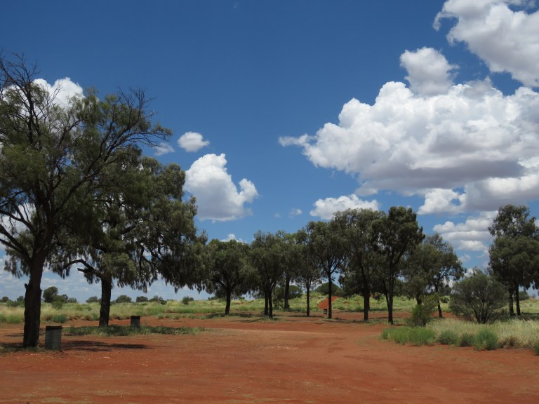 uluru_rest_area_flies