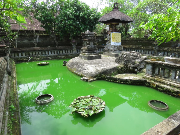 ubud_temple_green_water_long_shot
